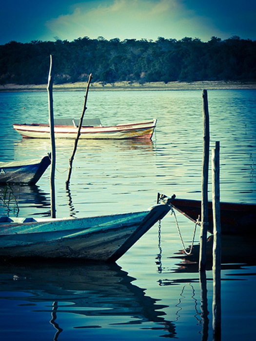 Janela Poética III