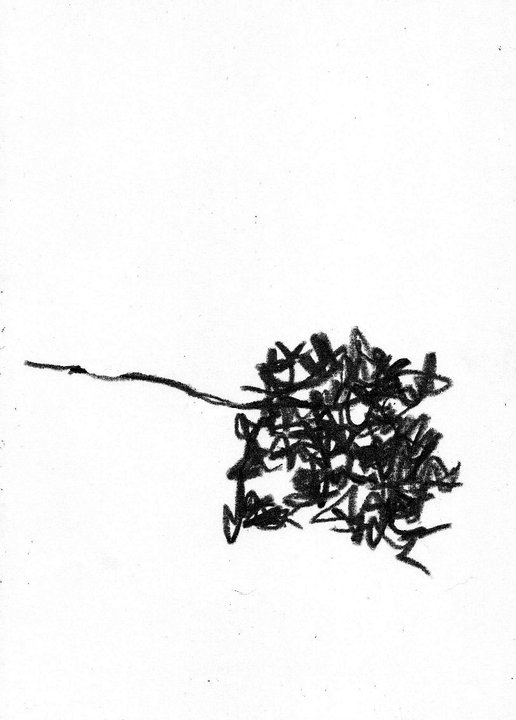 Janela Poética IV