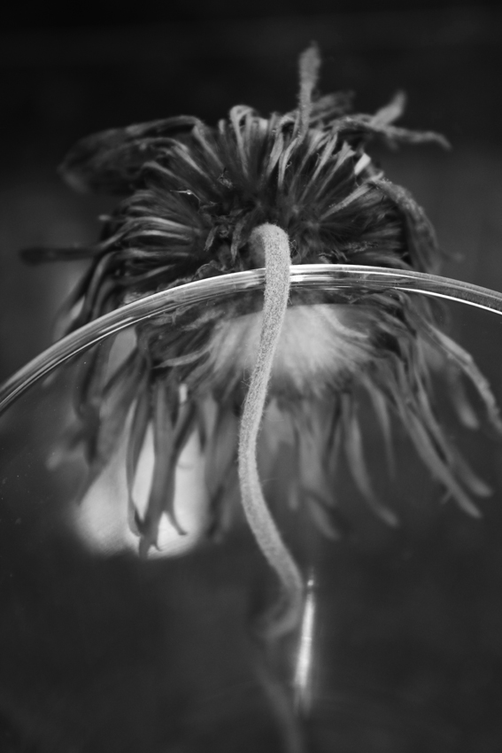 Janela Poética III
