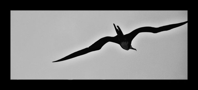 Olhares