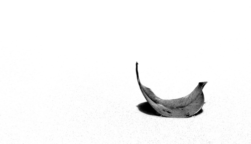 Janela Poética III