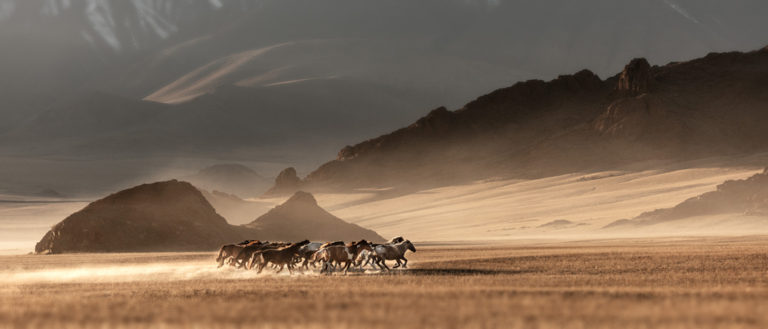 Olhares