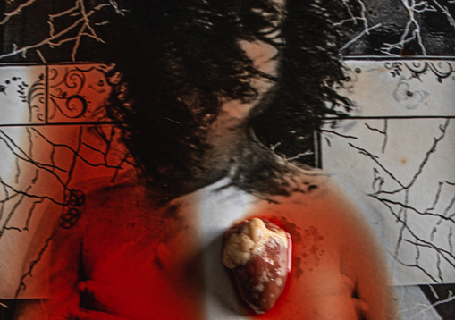 Janela Poética IV
